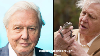 Robert Attenborough